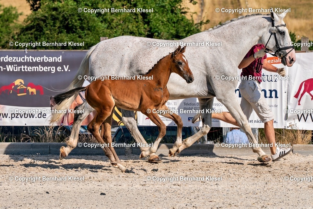 2A906348 | foto-team-bernhard - Realisiert mit Pictrs.com