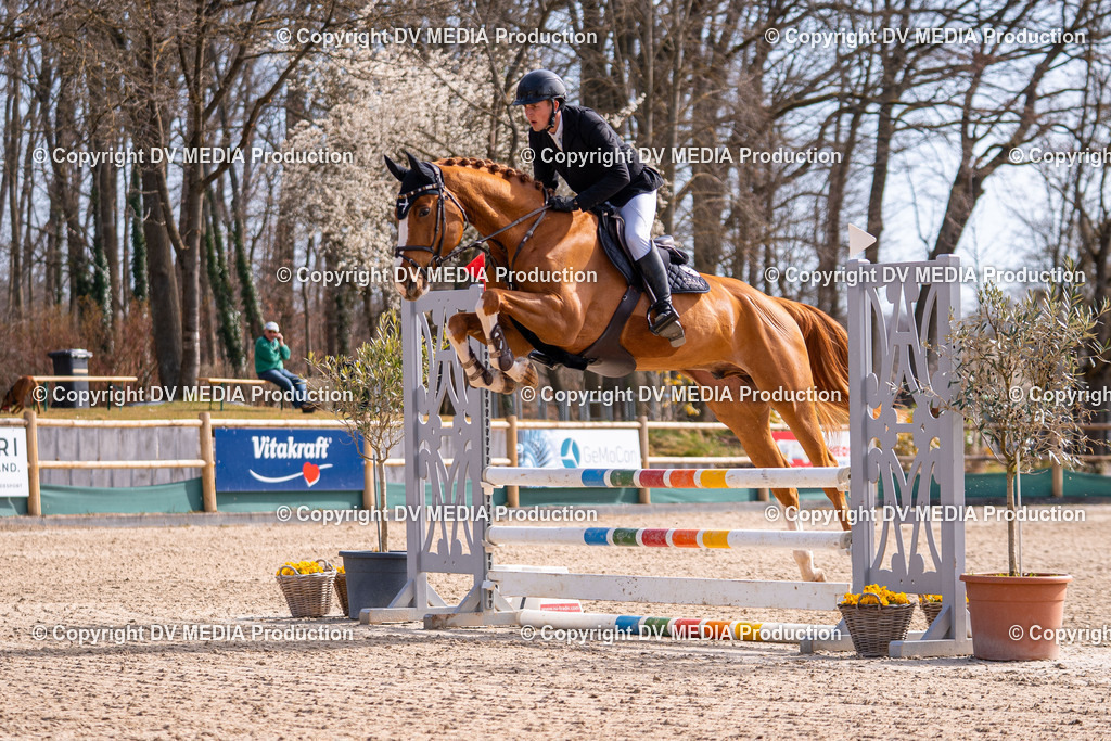 Kranichstein Tag 1-532 | dv-media-shop - Realisiert mit Pictrs.com