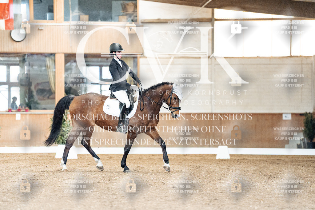 CK900708 | Turnierfotografie Pferdefotografie Trier Rheinland-Pfalz Pferdesport Reitsport Tierfotografie Sportfotografie Pferdevideo Pferdevideografie Equestrianvideography equestrianphotography  - Realized with Pictrs.com