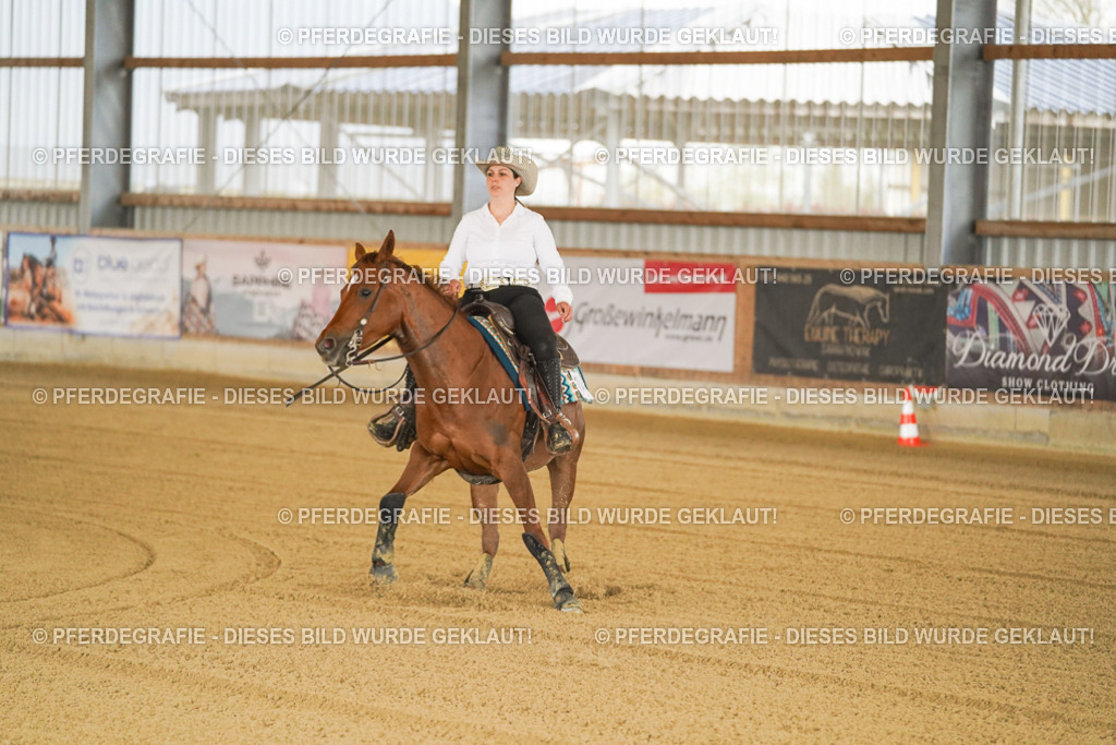 DSC00282 | Pferdegrafie