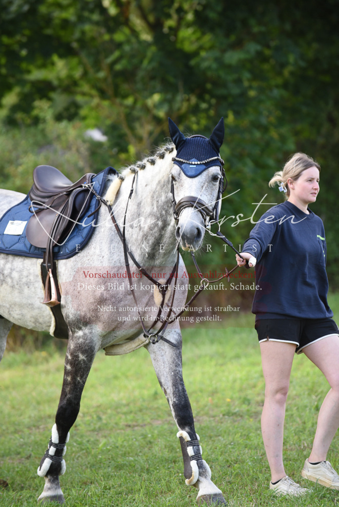 DSC_8530 | Pferde- und Turnierfotografie in Westsachsen. Pferdeportraits, Auftragszeichnungen und intuitive Kunst.