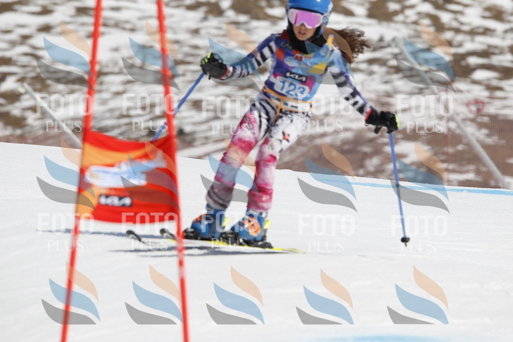 _U3G0752 | holidayphoto