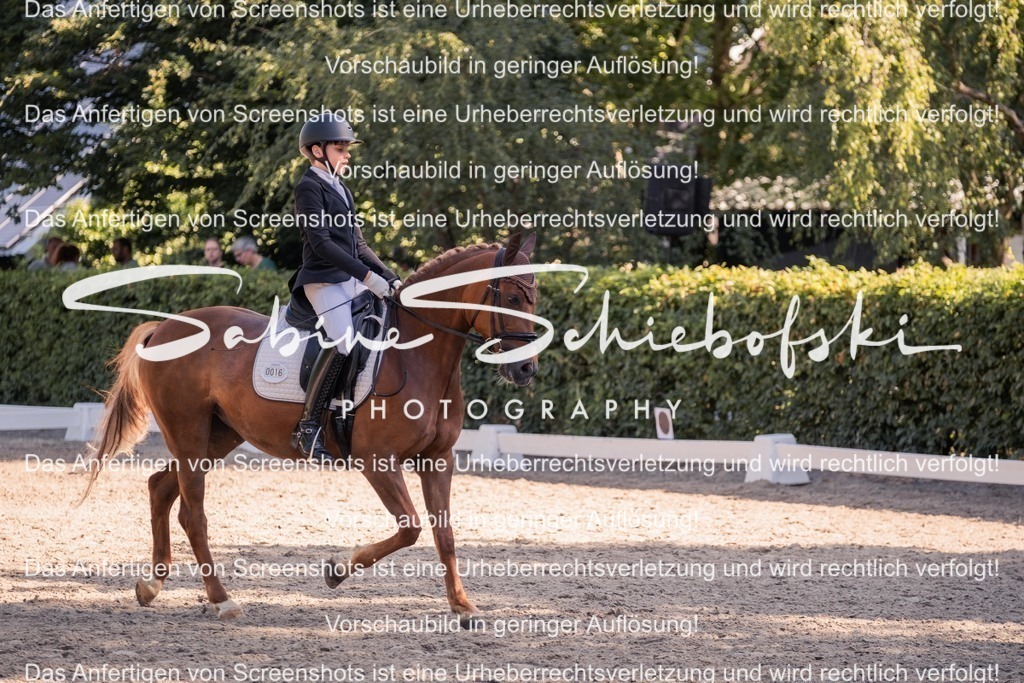 2025_05_31_DSCF2960 | People- und Tierfotografie, Imageaufnahmen, Veranstaltungsfotografie und Wandbilder aus der Natur ★ Made in Germany ✔️ Druck + Downloads ✔️ Naturfotografie in Top Qualität ★ schneller Versand, weltweite Lieferung! - Realisiert mit Pictrs.com