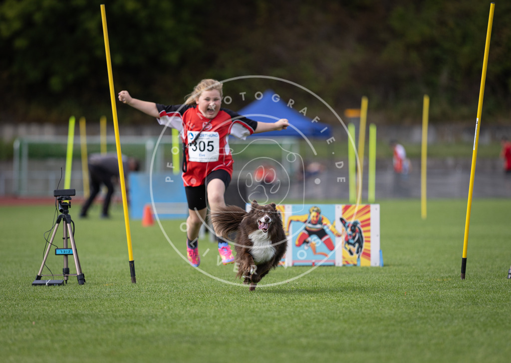 Pfotenfotografie_DV3A1324 | Hundefotografie, Tierfotograf, Pfotenfotografie, Fotoshooting Hund, Hunde Portrait, Hundesport, Hundeportraits, Heideshooting, Hunde, Sportfotograf, Hundefotograf, Turnierhundsport, THS,  - Realisiert mit Pictrs.com