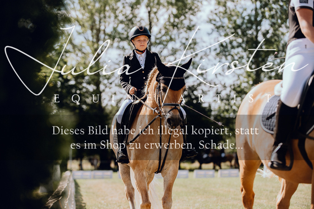 DSC_7127 | Pferde- und Turnierfotografie in Westsachsen. Pferdeportraits, Auftragszeichnungen und intuitive Kunst.