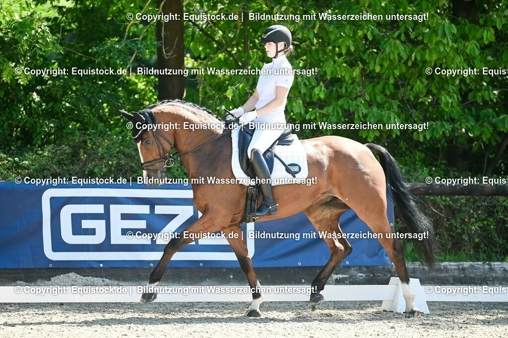 20230908_06_Dressur-L-Trense_0810 | equistock