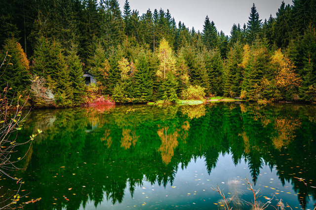 Spiegelung von einem Wald im See | Professionelle Natur- & Landschaftsfotos als Poster, auf Leinwand & viele mehr. Wähle aus einer Vielzahl an Formaten & Materialien Dein perfektes Bild. - Realisiert mit Pictrs.com