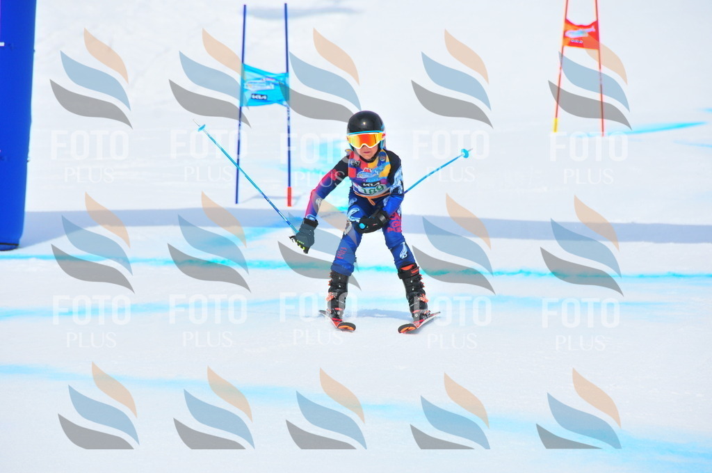 DSC_1733 | holidayphoto