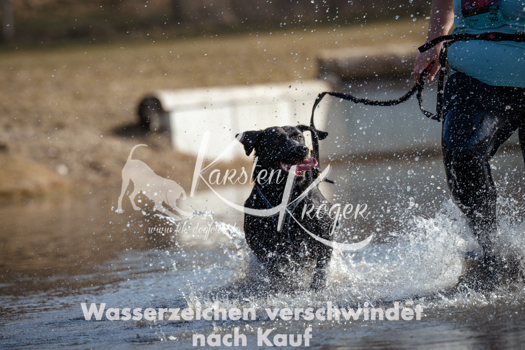 1154_ZZ97208 | kk-dogfotos