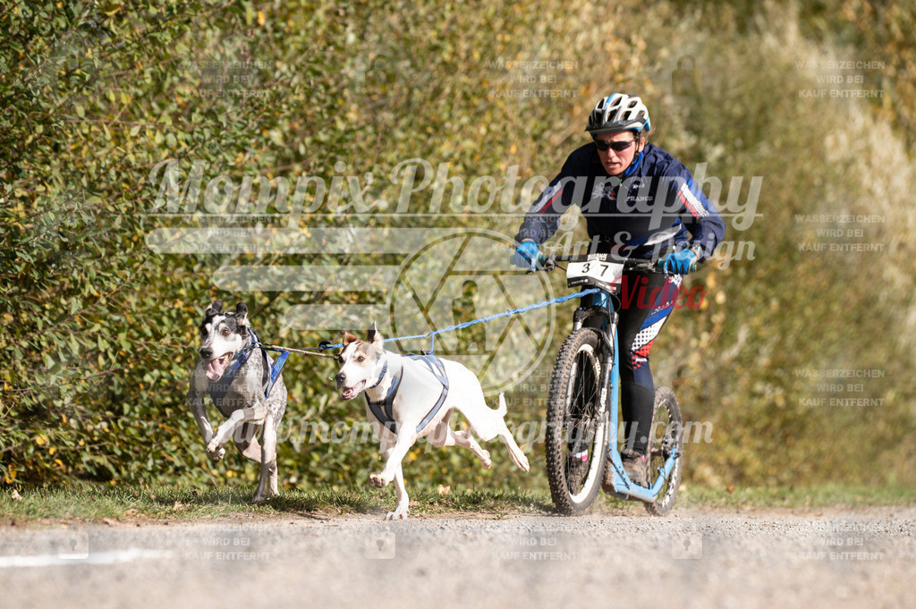 TSB_2023_E2_DS2-3 | PayLife