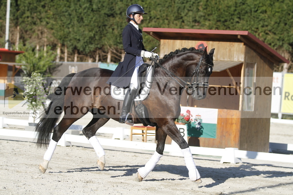 _MG_2863 | equestrian-live-com