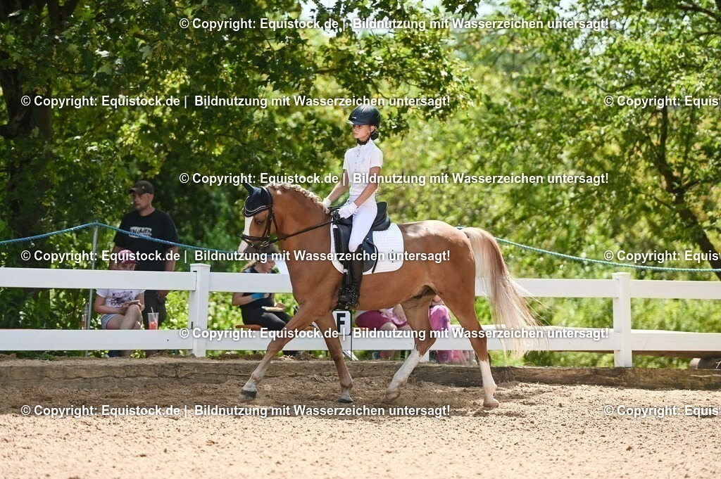 20230715_09_Dressur-WB_0273 | equistock