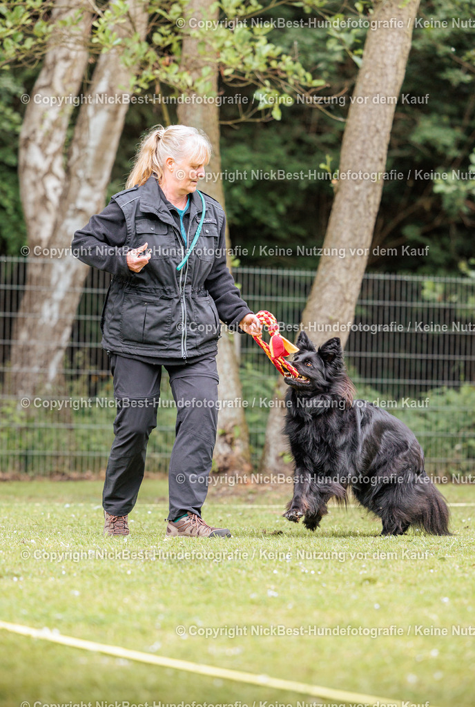 RO-Blumenthal-2026-Nickbest-Hundefotografie-3303 | Dein Hund! Dein Moment! Deine Erinnerungen! Hundefotografie in Bremen Blumenthal. Ich fange die besonderen Momente deines Vierbeiners ein – ob Indoor mit Blitzanlage oder in der freien Natur. Sicher dir dein Moment und dein Termin für eure Erinnerungen.