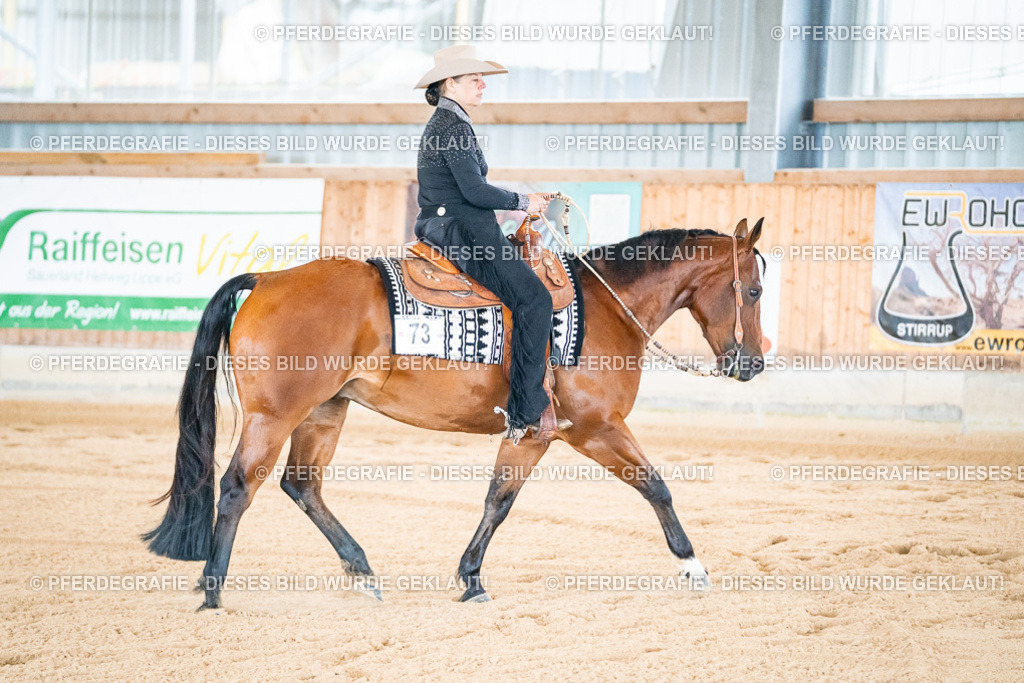 DSC01673 | Pferdegrafie