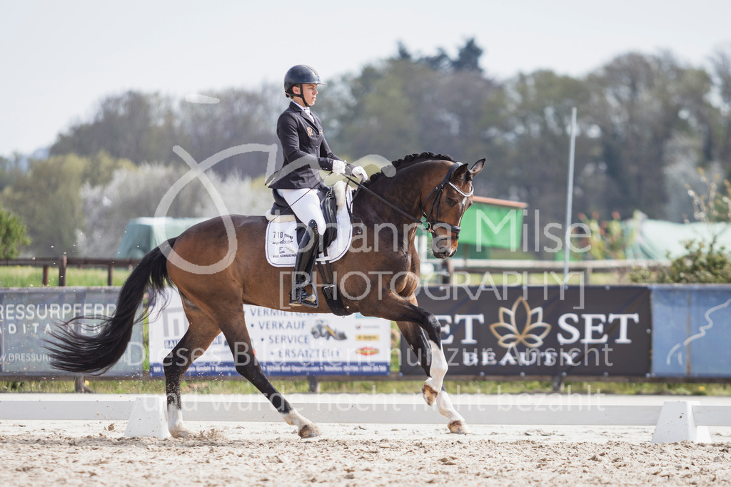 250416_Dressurpferde-L-216 | Deine schönsten Turniermomente als professionelle Fotos! Entdecke hochwertige Pferdesport-Fotografie im Online-Shop. Jetzt Fotos finden & bestellen!