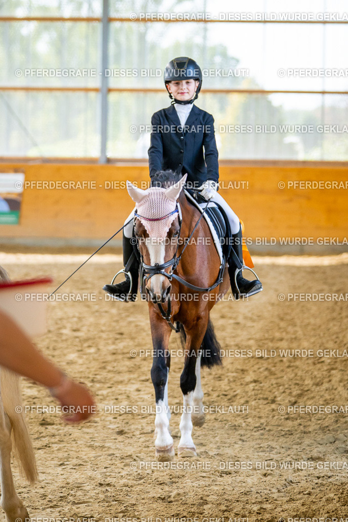 DSC01244 | Pferdegrafie