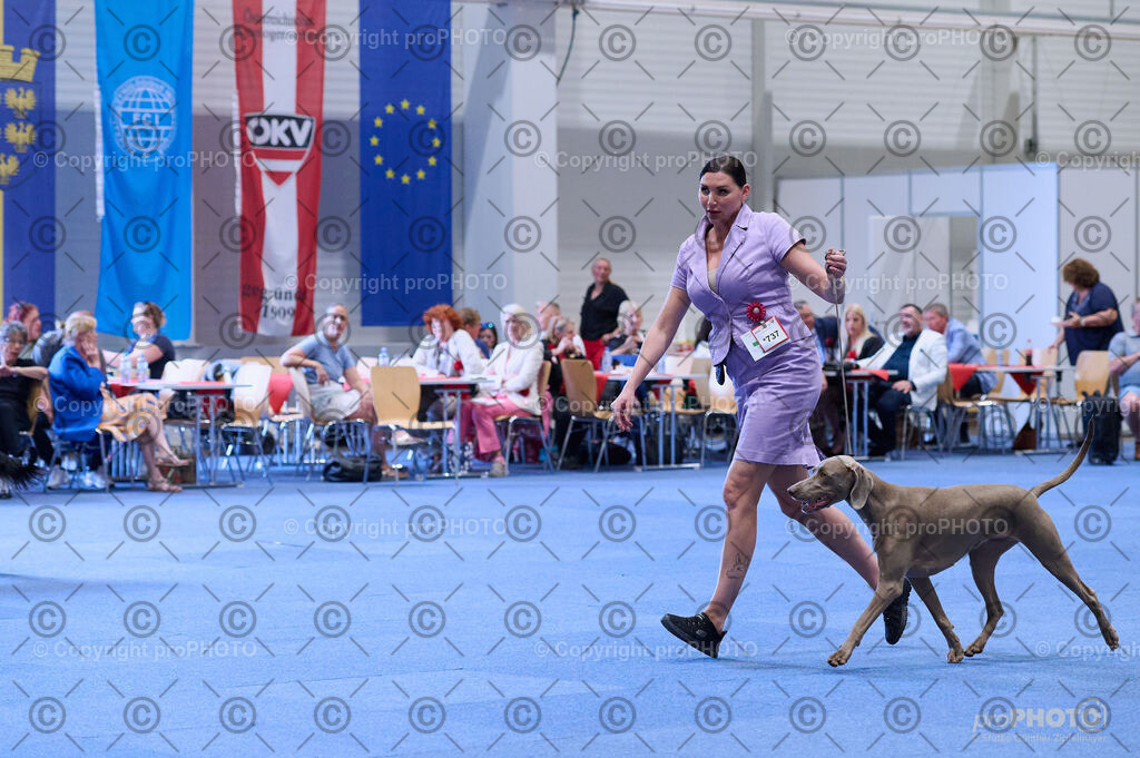 202406_ÖKV-IHA-Tulln24_DSC_4110 | proPHOTO - Realisiert mit Pictrs.com