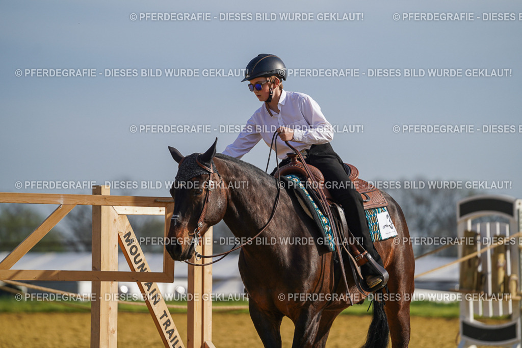 DSC00817 | Pferdegrafie