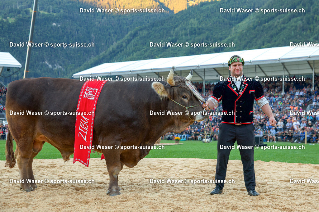 253108 Le Roi Orlik Armon ___ Arena_s Umzug _ L_Eidg. Schwing- und Älplerfest (ESAF) Glarnerland+_ Mollis_ le 31.08.2025 _ sports-suisse.ch _ (2) | 253108 Le Roi Orlik Armon *** Arena's Umzug à L'Eidg. Schwing- und Älplerfest (ESAF) Glarnerland+, Mollis, le 31.08.2025 " sports-suisse.ch "