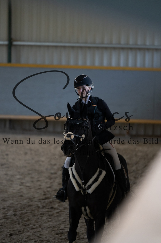 A7V01951 | Pferdefotograf