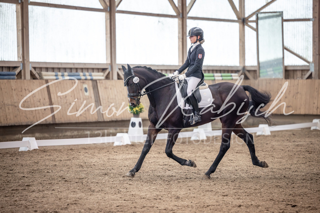 20251011-_3LI0306 | Tierfotografie Pferde, Hunde, Katzen, Haustiere.
Turnierfotografie Reitturniere, Reiten, Springreiten, Dressur in Hanau, dem Main-Kinzig-Kreis und dem Rhein-Main- Gebiet um Frankfurt