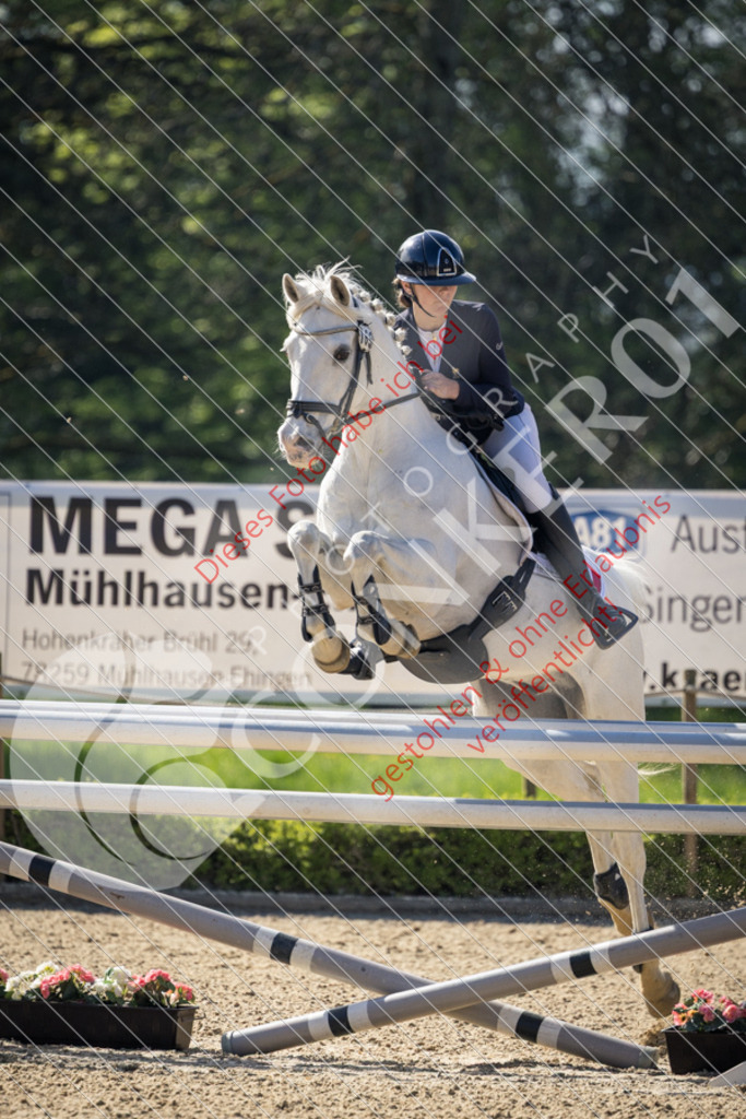 CON_0291 | Sport-, Event- und Tierfotos in Profiqualität. Einfach auswählen, bestellen und herunterladen. Dein Moment – perfekt festgehalten.