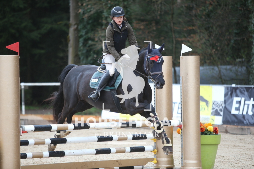 AS8V9684 | Willkommen bei Brunnmayr - Design & Fotografie – Ihrem Spezialisten für Reitturniere und Pferdeveranstaltungen in Oberösterreich, Salzburg und Bayern! Seit über 17 Jahren sind wir leidenschaftlich dabei.