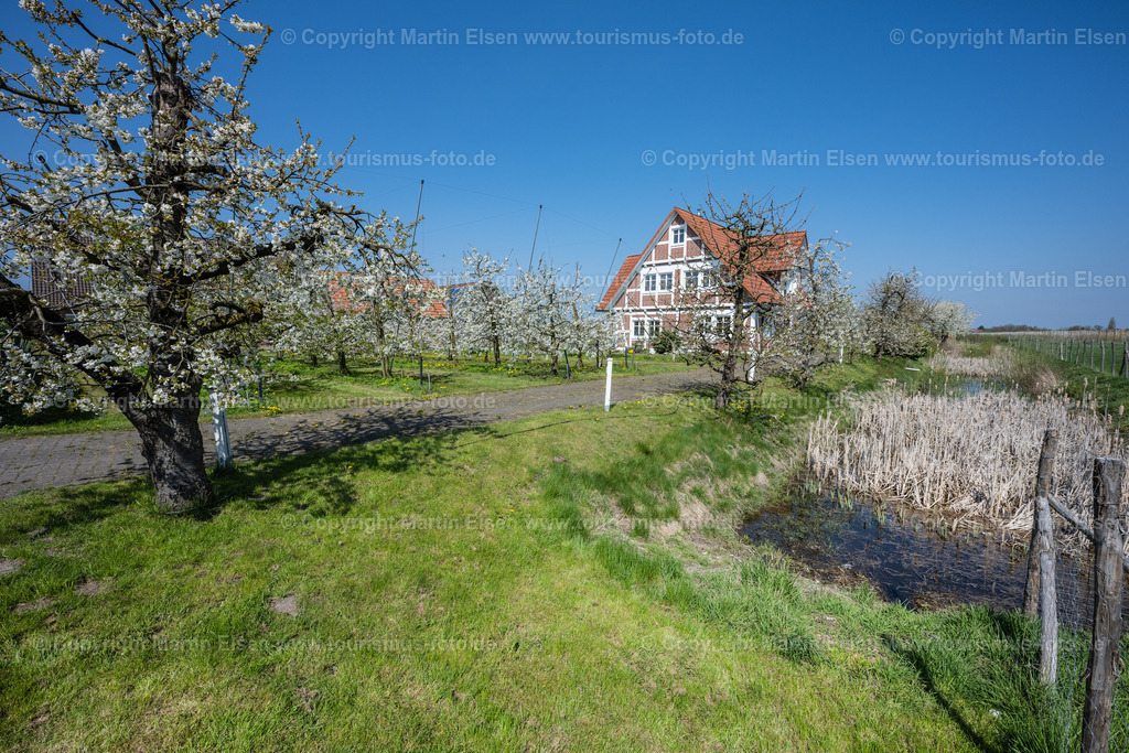 Altes Land Kirschblüte_ELS_0015230423 | Fotos aus den Touristenorten aus Norddeutschland. - Realisiert mit Pictrs.com