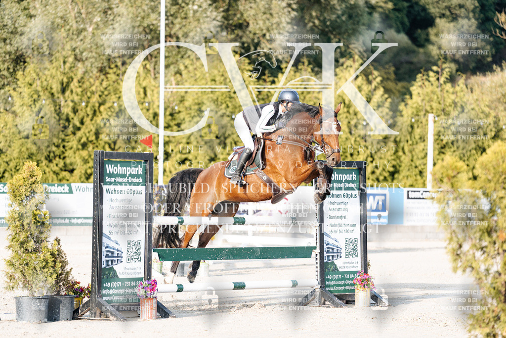 CK900768 | Turnierfotografie Pferdefotografie Trier Rheinland-Pfalz Pferdesport Reitsport Tierfotografie Sportfotografie Pferdevideo Pferdevideografie Equestrianvideography equestrianphotography  - Realisiert mit Pictrs.com