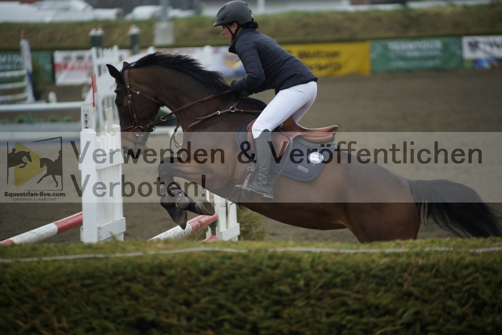 _DSC3794 | equestrian-live-com