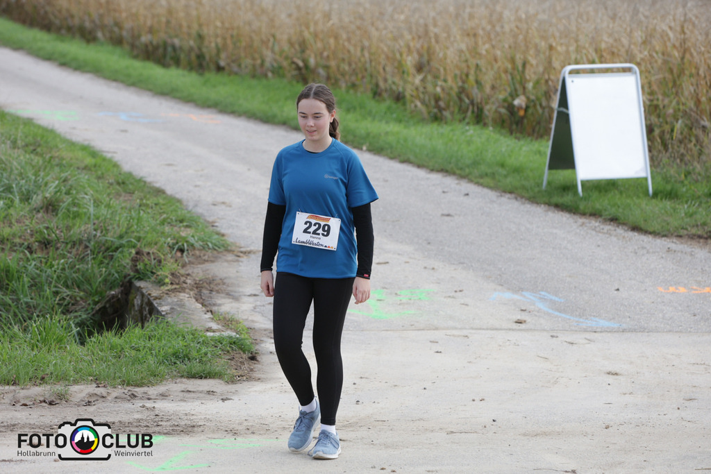 B (82) | Foto Buchgraber