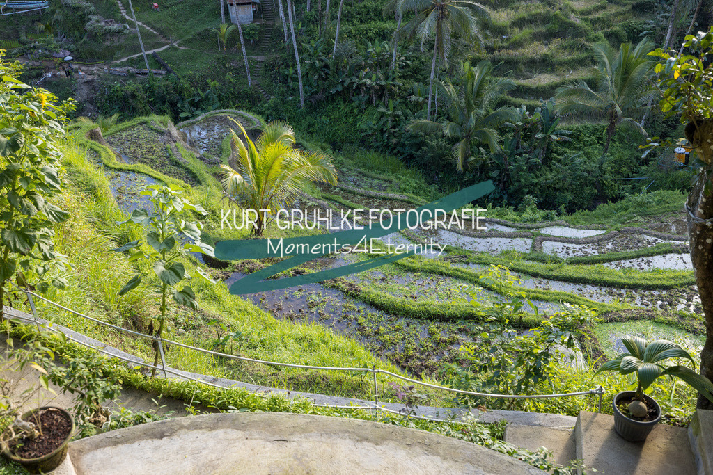 230720-1326 - Kopie | onlinegalerie und Fotoshop Kurt Gruhlke Fotograf Berlin
Hochzeitsfotograf Eventfotograf Portraitfotografie
 - Realisiert mit Pictrs.com