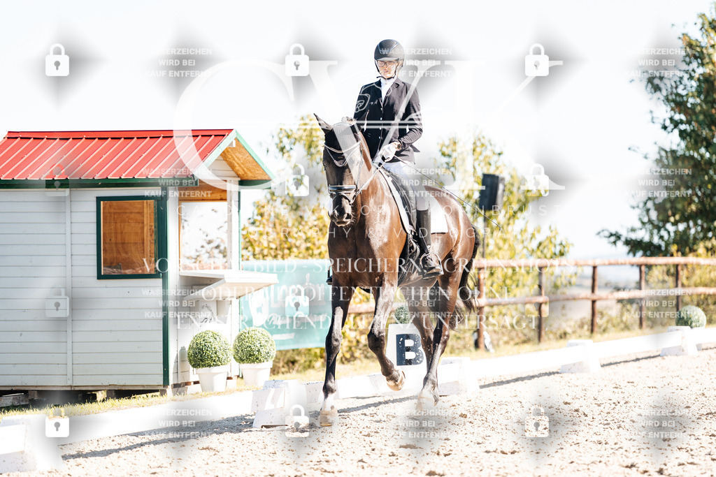 CK908991 | Turnierfotografie Pferdefotografie Trier Rheinland-Pfalz Pferdesport Reitsport Tierfotografie Sportfotografie Pferdevideo Pferdevideografie Equestrianvideography equestrianphotography  - Realisiert mit Pictrs.com