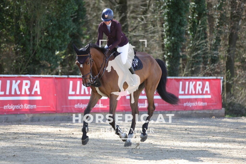 0P6A8880 | Willkommen bei Brunnmayr - Design & Fotografie – Ihrem Spezialisten für Reitturniere und Pferdeveranstaltungen in Oberösterreich, Salzburg und Bayern! Seit über 17 Jahren sind wir leidenschaftlich dabei.