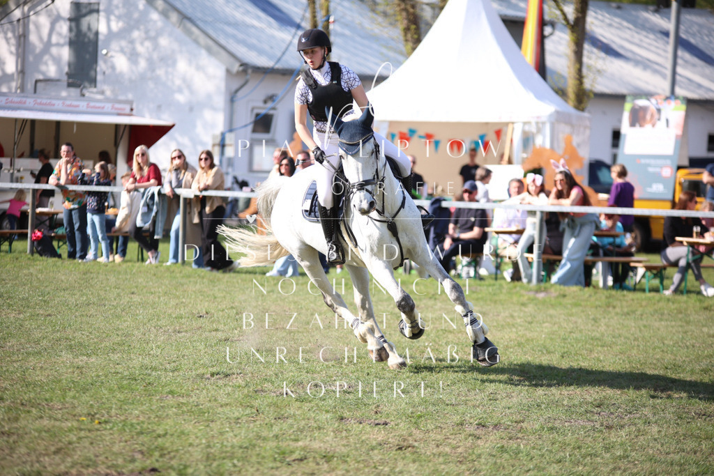 IMGT9276 | pl-fotografie