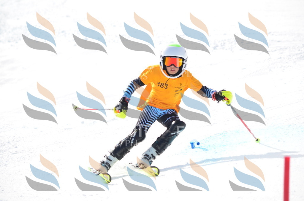 C8353 | holidayphoto