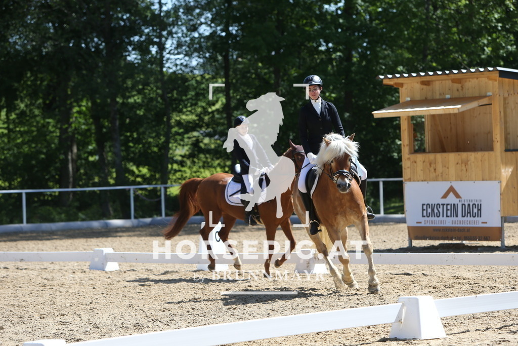 DL2Q0077 | Willkommen bei Brunnmayr - Design & Fotografie – Ihrem Spezialisten für Reitturniere und Pferdeveranstaltungen in Oberösterreich, Salzburg und Bayern! Seit über 17 Jahren sind wir leidenschaftlich dabei.