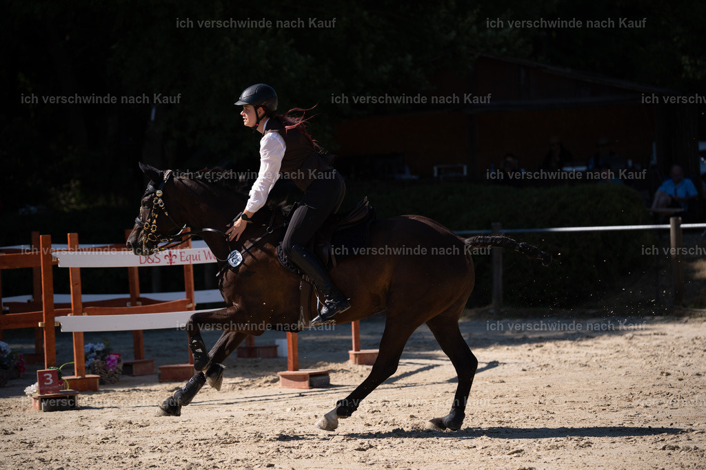 WL_SP_25_Stoibphotography_SO16374 | working equitationturnier fotograf videograf stoibphotography marixx film working equitation deutschland reitsport turnierfotografie eventfotografie equestrian events