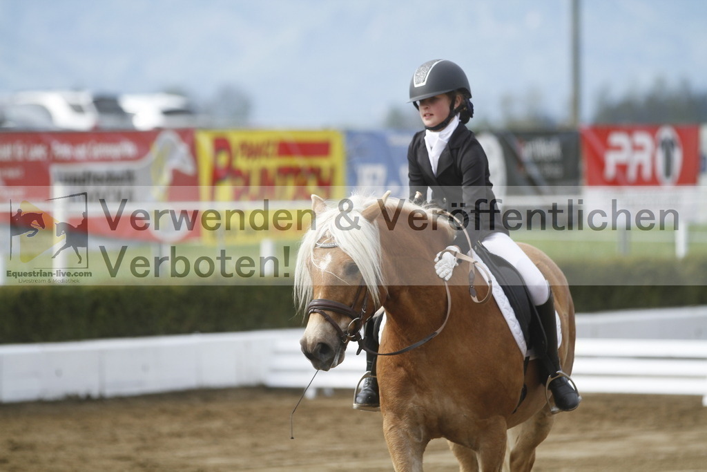 _MG_2606 | equestrian-live-com