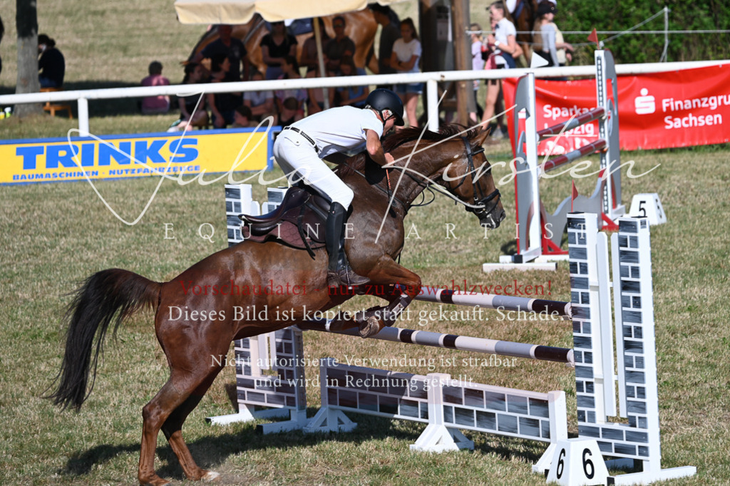 DSC_2266 | Pferde- und Turnierfotografie in Westsachsen. Pferdeportraits, Auftragszeichnungen und intuitive Kunst.