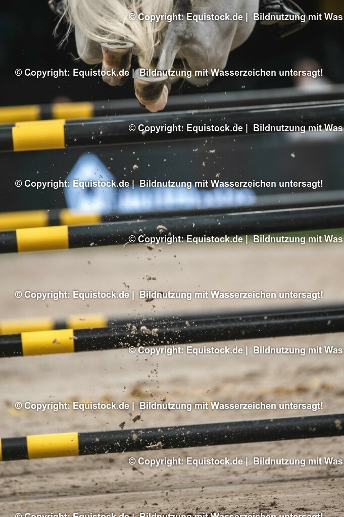 20231116_BW-Bank-Hallenchampionat_0149_TOMsPiC-2 | Foto: Thomas Hartig