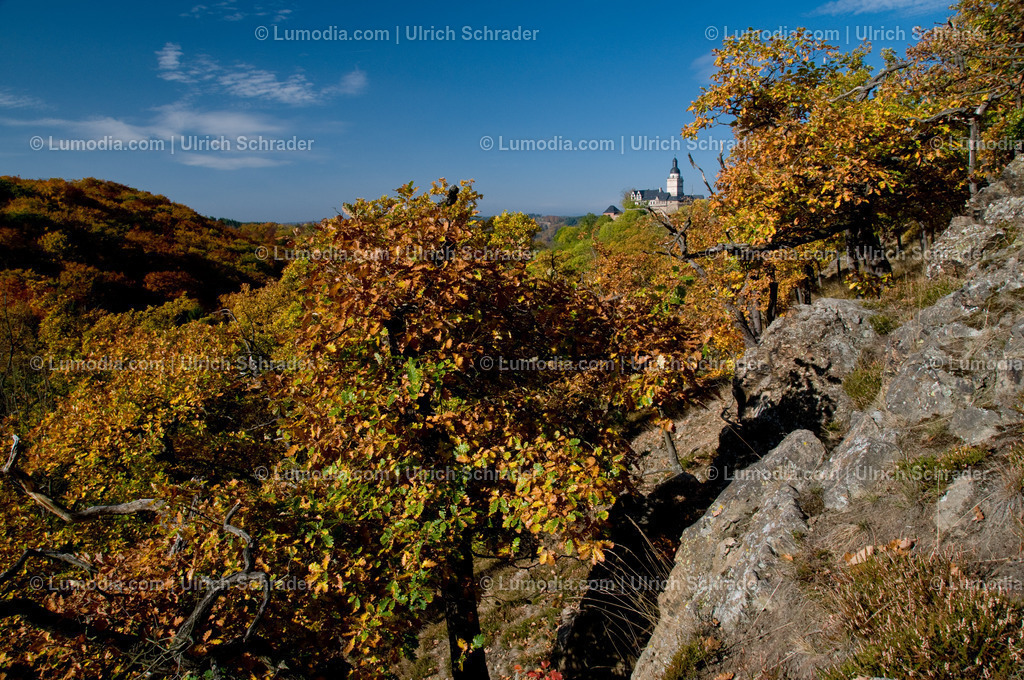 00491-1106 - Burg Falkenstein | Stockfoto und Bilderpool mit Bildmaterial aus Deutschland, dem Harz, Halberstadt, Quedlinburg, Wernigerode und weltweit. Qualitativ hochwertige und professionelle Fotos anschauen und kaufen. - Realisiert mit Pictrs.com
