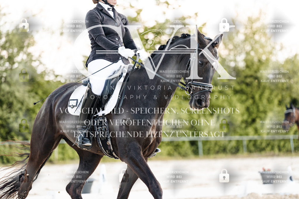 CK909418 | Turnierfotografie Pferdefotografie Trier Rheinland-Pfalz Pferdesport Reitsport Tierfotografie Sportfotografie Pferdevideo Pferdevideografie Equestrianvideography equestrianphotography  - Realisiert mit Pictrs.com