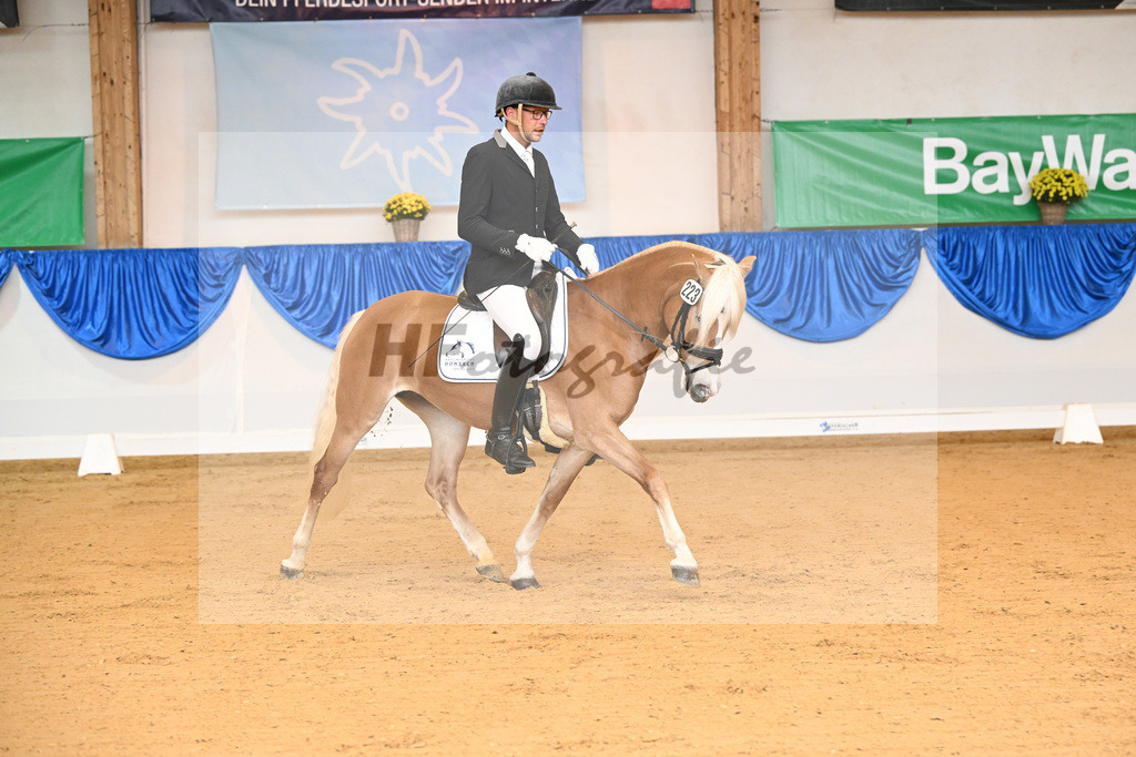 Kat-Nr. 223 Lizt van de Honesch_ZG Slot_54221634 | hf-fotografie - Realisiert mit Pictrs.com