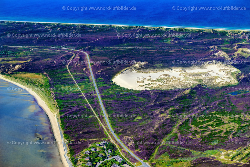 Sylt_List_Wanderdüne_Horst_ELS_3996130825 | LIST AUF SYLT 13.08.2025 Sandaufschüttungen einer Wanderdünenfläche in der Nordsee an der Listlandstraße in List auf Sylt im Bundesland Schleswig-Holstein, Deutschland. // Sand deposits of a shifting dune area in the North Sea on street Listlandstrasse in List auf Sylt in the state Schleswig-Holstein, Germany. Foto: Martin Elsen