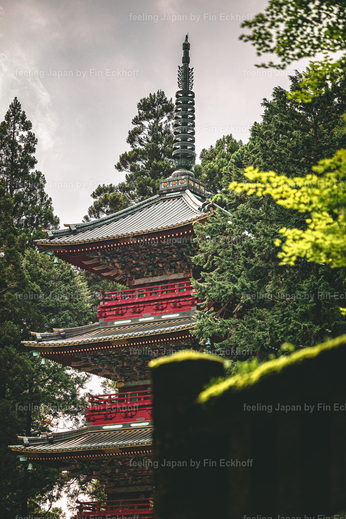 08 - Tradition _ Nature-2 | FI-LO Bildershop – Entdecken Sie beeindruckende Fotografie und inspirierende Videoproduktionen. Tauchen Sie ein in faszinierende Welten und lassen Sie sich von meinen einzigartigen Werken auf eine emotionale Reise mitnehmen. Perfekt für Kunstliebhaber und - Realisiert mit Pictrs.com
