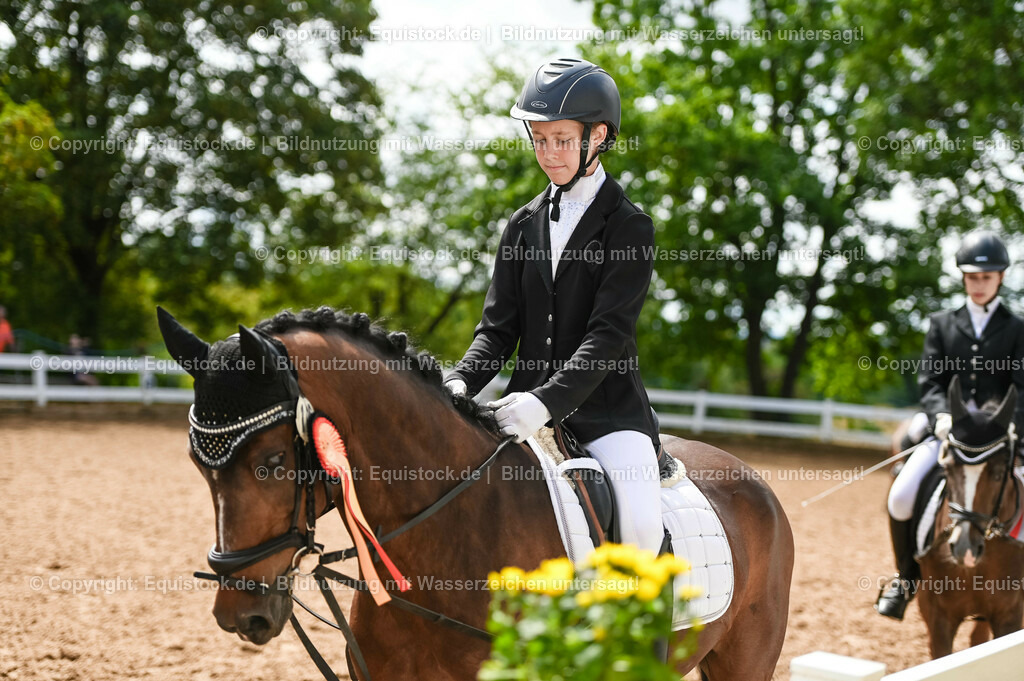 20230716_10-2_Reiter-WB Schritt - Trab - Galopp_0215 | equistock