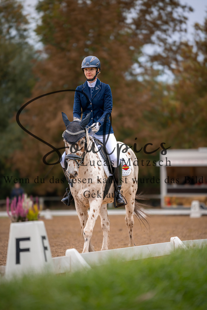 A7V05064 | Pferdefotograf