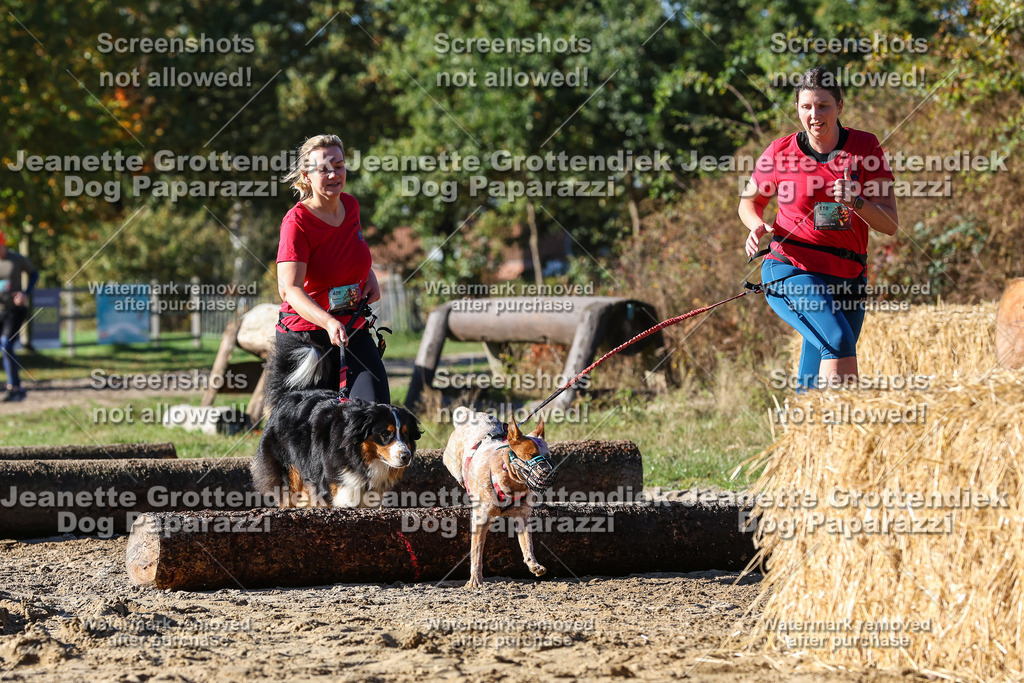 Dog Paparazzi - Strongdog 10-25-2205 | Dog Paparazzi Jeanette Grottendiek Fotografie & Videografie - Realisiert mit Pictrs.com