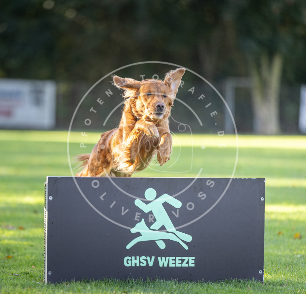 Pfotenfotografie.de_DV3A3675 | Hundefotografie, Tierfotograf, Pfotenfotografie, Fotoshooting Hund, Hunde Portrait, Hundesport, Hundeportraits, Heideshooting, Hunde, Sportfotograf, Hundefotograf, Turnierhundsport, THS, canicross - Realisiert mit Pictrs.com